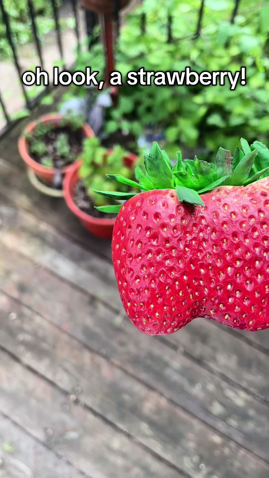 예술•충격리빌 느린Slow Build 1